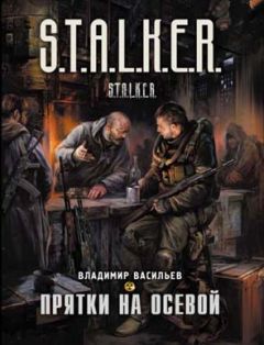 Владимир Васильев - Прятки на осевой