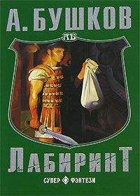 Александр Бушков - Лабиринт