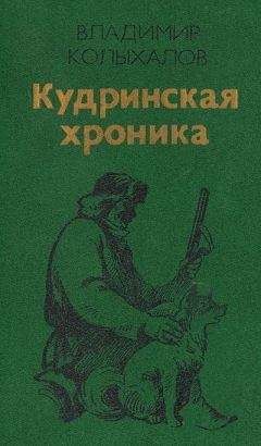 Владимир Колыхалов - Кудринская хроника