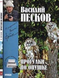 Василий Песков - Полное собрание сочинений. Том 22. Прогулки по опушке