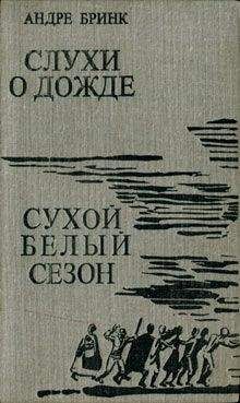 Андре Бринк - Слухи о дожде. Сухой белый сезон