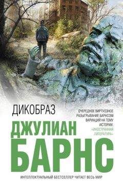 Джулиан Барнс - Дикобраз