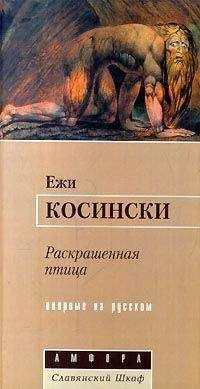 Ежи Косински - Раскрашенная птица