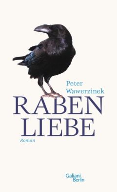 Peter Wawerzinek - Rabenliebe