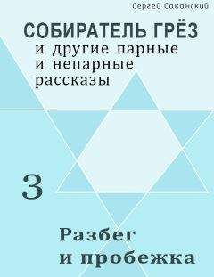 Сергей Саканский - Разбег и пробежка (сборник)