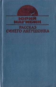 Юрий Нагибин - Постоянный подписчик