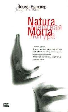 Йозеф Винклер - Natura Morta