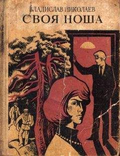 Владислав Николаев - Своя ноша