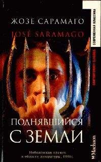 Жозе Сарамаго - Поднявшийся с земли