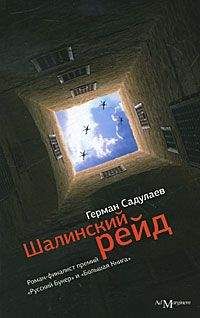 Герман Садулаев - Шалинский рейд: роман