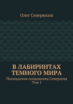 Олег Северюхин - В лабиринтах тёмного мира