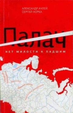 Александр Ачлей - Палач. Нет милости к падшим