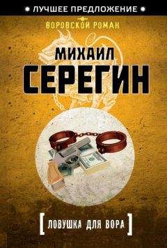 Михаил Серегин - Ловушка для вора