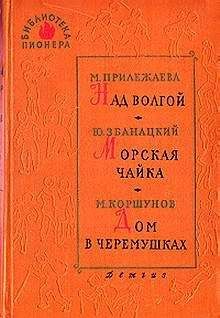 Михаил Коршунов - В зимнем городе