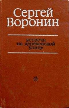 Сергей Воронин - Встреча на деревенской улице