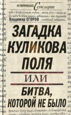 Владимир Егоров - Загадка Куликова поля, или Битва, которой не было