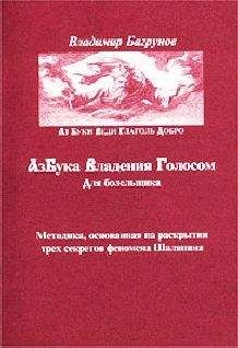 Владимир Багрунов - Азбука владения голосом для болельщика