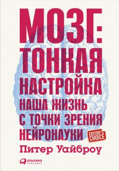 Питер Уайброу - Мозг: Тонкая настройка. Наша жизнь с точки зрения нейронауки