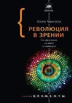 Марк Чангизи - Революция в зрении: Что, как и почему мы видим на самом деле