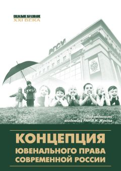 Коллектив авторов - Концепция ювенального права современной России