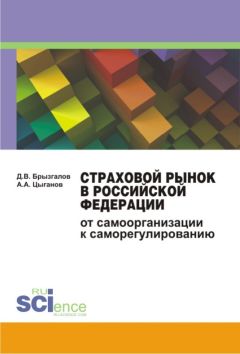 Денис Брызгалов - Страховой рынок в Российской Федерации. От самоорганизации к саморегулированию. Монография