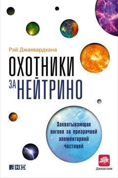 Рэй Джаявардхана - Охотники за нейтрино. Захватывающая погоня за призрачной элементарной частицей