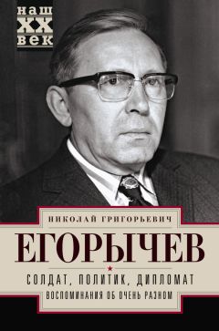 Николай Егорычев - Солдат. Политик. Дипломат. Воспоминания об очень разном