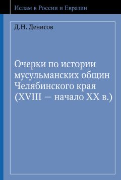 Денис Денисов - Очерки по истории мусульманских общин Челябинского края (XVIII – начало ХХ в.)