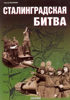 Сергей Былинин - Сталинградская битва