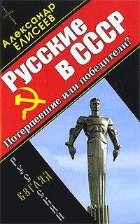 Александр Елисеев - Русские в СССР. Потерпевшие или победители?