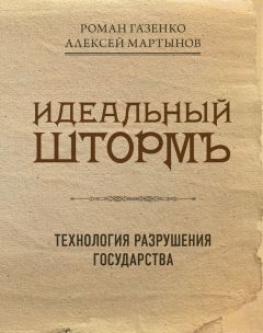 Роман Газенко - Идеальный шторм. Технология разрушения государства