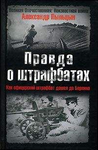 Александр Пыльцын - Правда о штрафбатах.