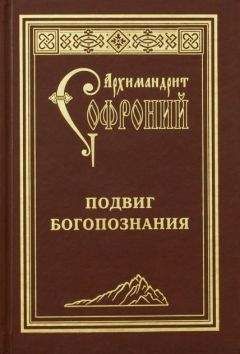 Софроний Сахаров - Подвиг богопознания. Письма с Афона (к Д. Бальфуру)