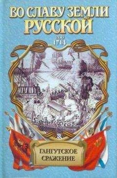 Иван Фирсов - Гангутское сражение. Морская сила