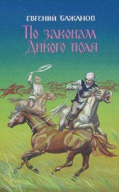 Евгений Бажанов - По законам Дикого поля