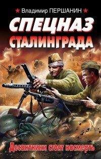 Владимир Першанин - Спецназ Сталинграда.