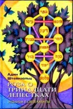 Адин Штайнзальц - Роза о тринадцати лепестках