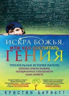 Кристин Барнетт - Искра Божья, или Как воспитать гения