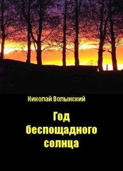 Николай Волынский - Год беспощадного солнца