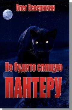 Олег Северюхин - Не будите спящую пантеру