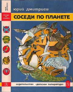 Юрий Дмитриев - Соседи по планете: Птицы