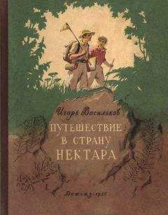 Игорь Васильков - Путешествие в страну нектара