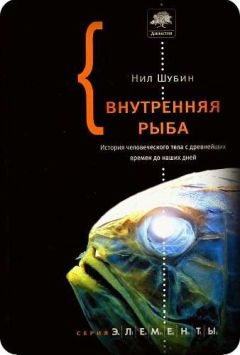 Нил Шубин - Внутренняя рыба