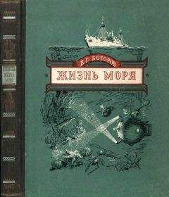 Венианим Богоров - Жизнь моря