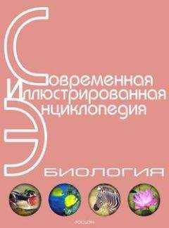 Александр Горкин - Энциклопедия «Биология» (без иллюстраций)