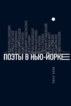 Яков Клоц - Поэты в Нью-Йорке. О городе, языке, диаспоре