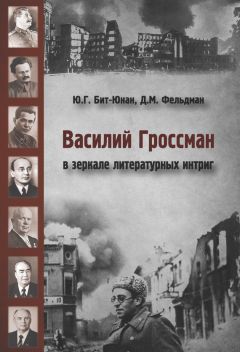 Юрий Бит-Юнан - Василий Гроссман в зеркале литературных интриг