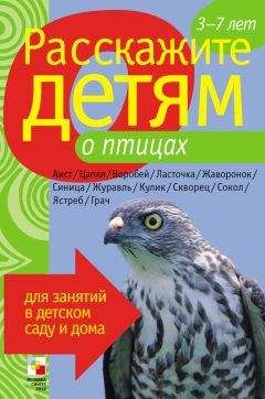 Лариса Бурмистрова - Расскажите детям о птицах