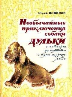 Юрий Новиков - Необычайные приключения собаки Дульки с четверга до субботы в одно жаркое лето