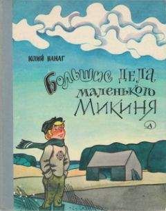 Юлий Ванаг - Большие дела маленького Микиня